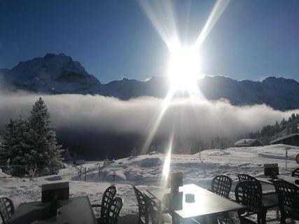Sonnenberg Hostel Murren